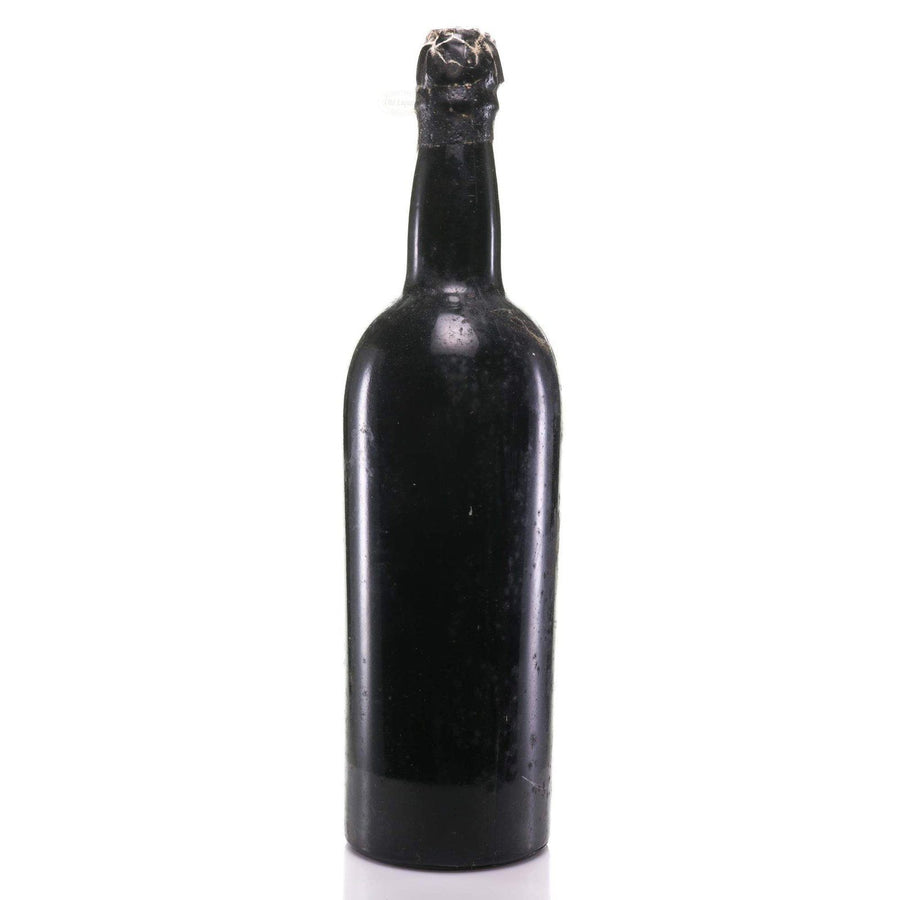 Port 1955 Sandeman Ltda SKU 8896