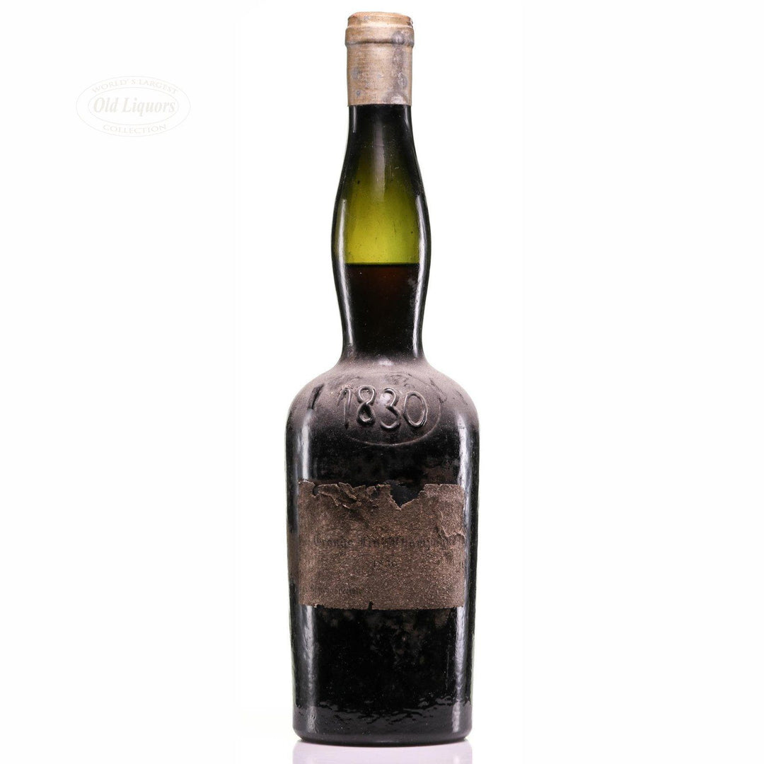 Cognac 1830 Sicard serve ciale SKU 4752